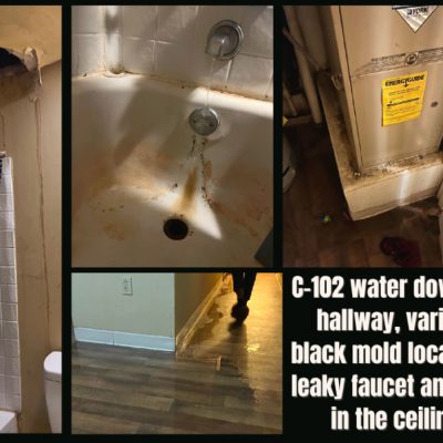 Water down the hallway and various black mold locations, leaky faucets