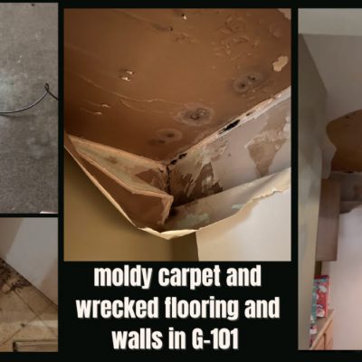 Moldy carpet and wrecked flooring