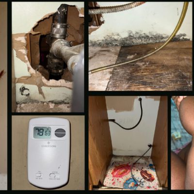 Roaches, water damage, skin conditions
